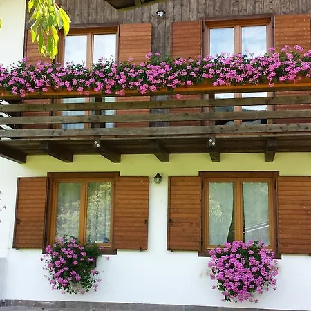 Chalet Monica Molina di Ledro Exterior photo